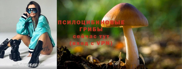 трава Алексеевка