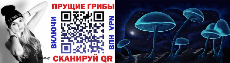 Псилоцибиновые грибы мицелий Гдов